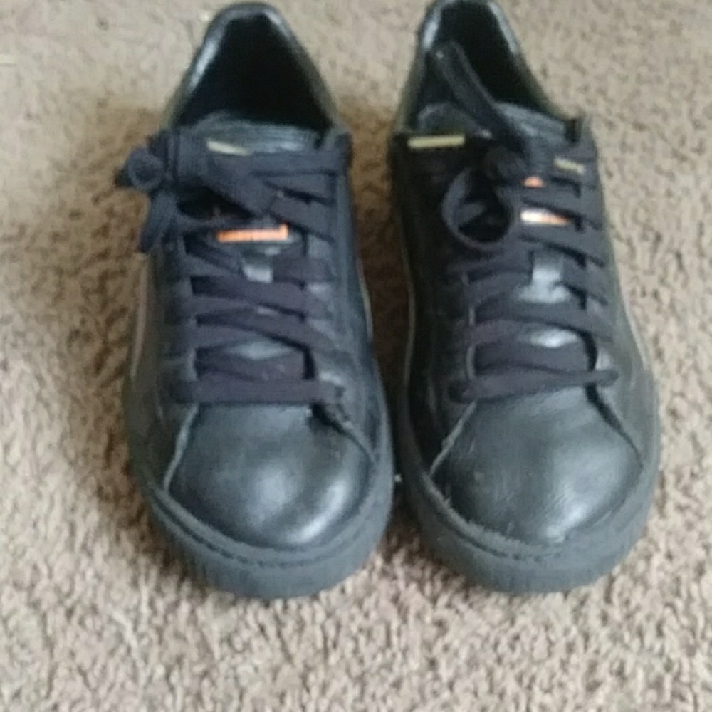 Iridescent and black Pumas